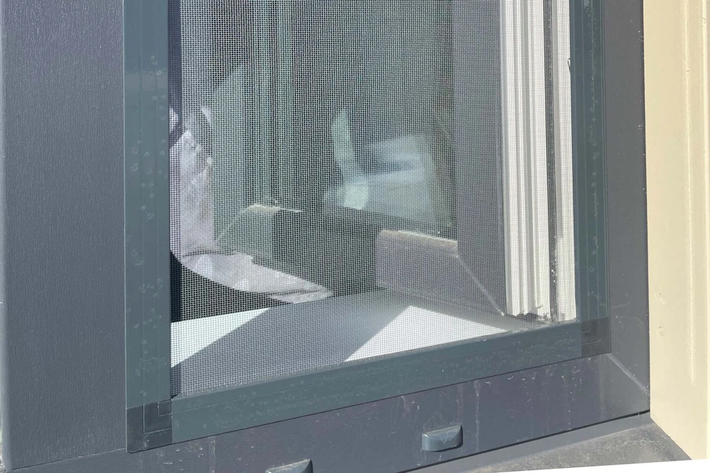 Putukavõrk - image 6