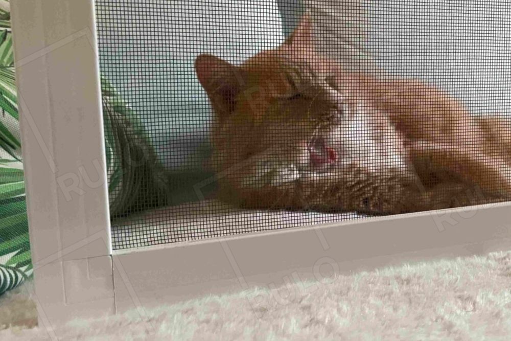 Putukavõrk - image 8