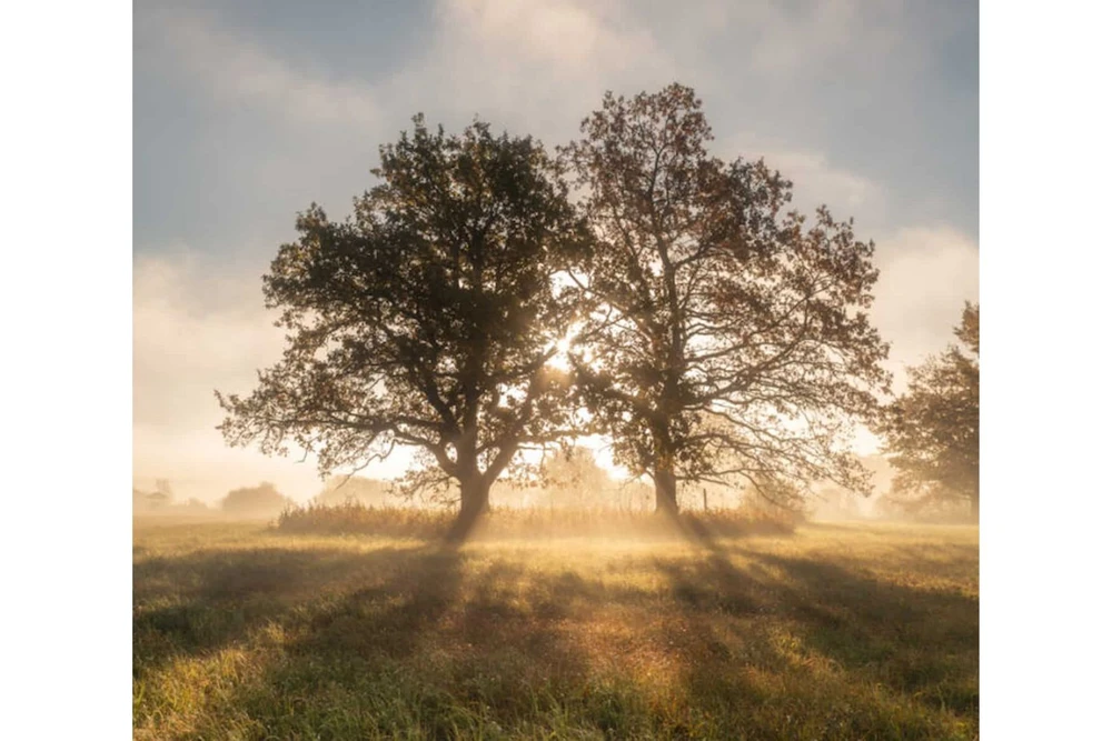 SOOMAA SÜGIS (poolpimendav printruloo)